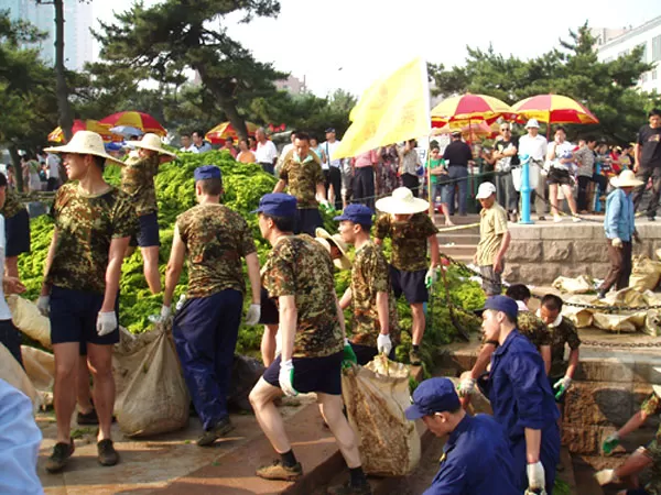 Qingdao Algae