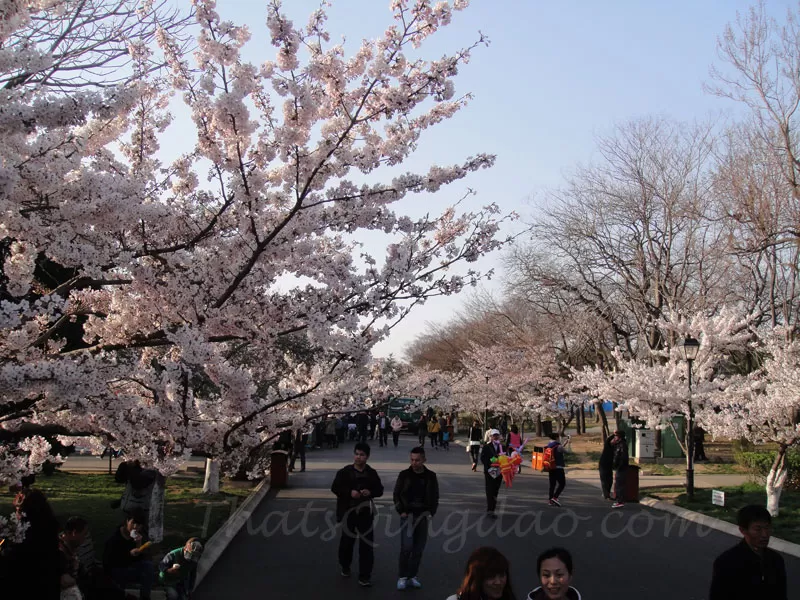 Qingdao ZhongShan Park Qingdao ZhongShan Park