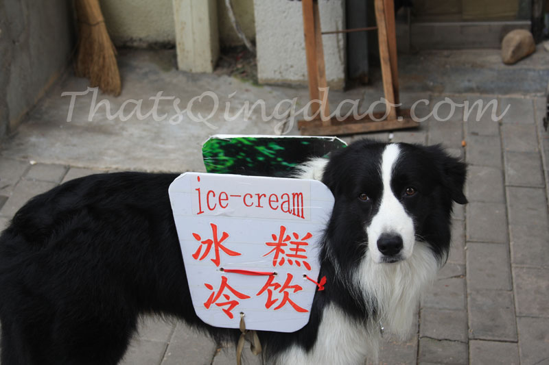 Qingdao Photography: Got Ice Cream? - Qingdao